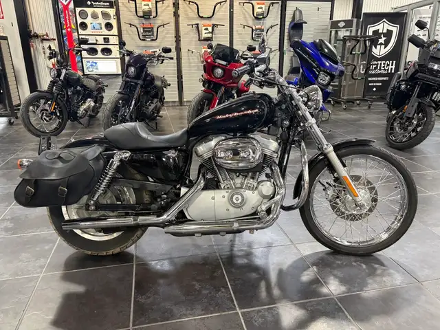2004 Harley-Davidson Sportster 883 Custom in Sport Bikes in Sudbury - Image 4