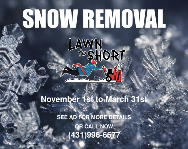Snow Removal583293943950223364