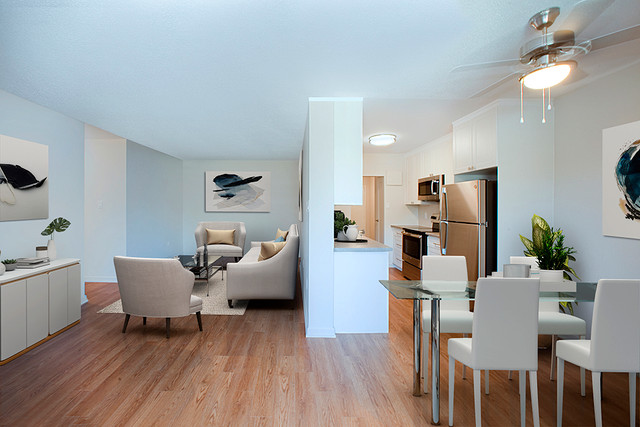 LARGE 1 BEDROOM APARTMENT FOR RENT IN OWEN SOUND! dans Locations longue durée  à Owen Sound - Image 3