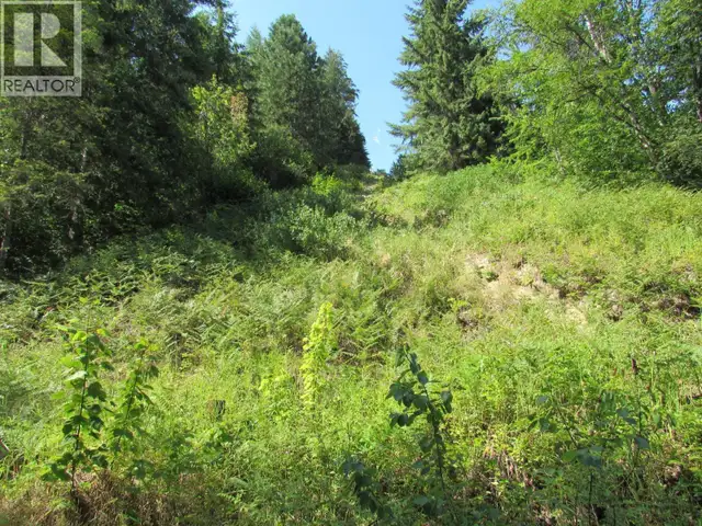 1365 Forest Road Castlegar, British Columbia in Land for Sale in Nelson - Image 11