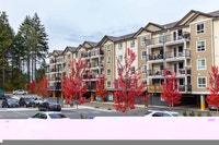 Broadstreet's Longwood Landing offers 1, 2, and 3 bedroom pet friendly apartments for rent in Nanaim... (image 2)