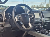 Check out this certified 2020 Ford F-150 LARIAT 4x4 | 5.0L V8 | Leather | Panoramic Sunroof | Heated... (image 1)