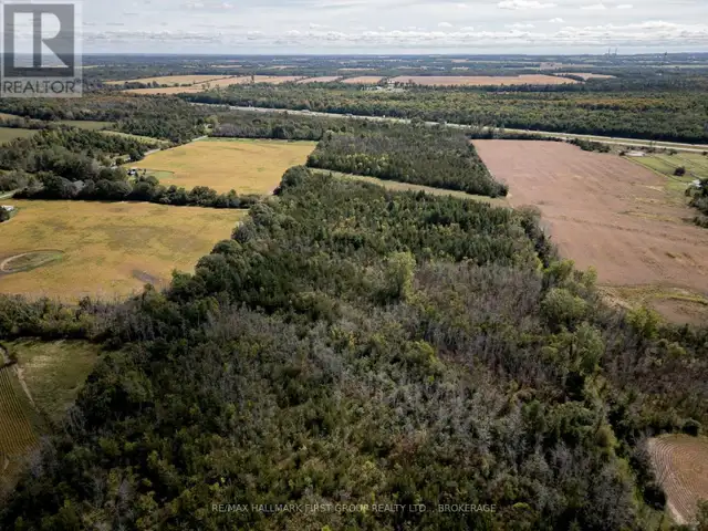00 PALACE ROAD Greater Napanee (Greater Napanee), Ontario in Land for Sale in Napanee - Image 13