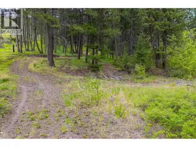 3596 Fox Farm Road Merritt, British Columbia in Land for Sale in Vernon - Image 6