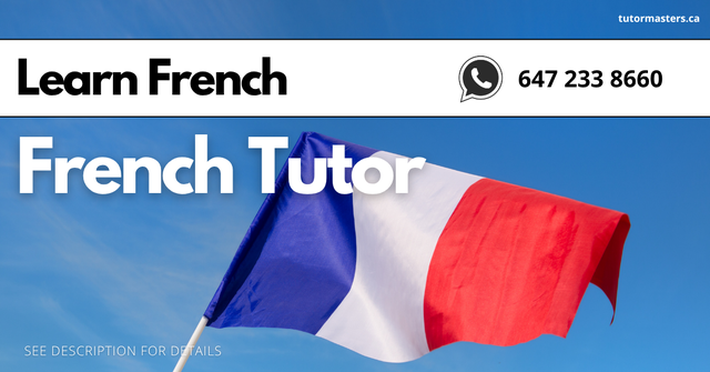 MASTER FRENCH — FROM BEGINNER TO IB LEVEL
