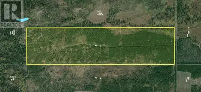 159 acres located just off the Barlow Forest Service Road with immature timber. This would be a grea...