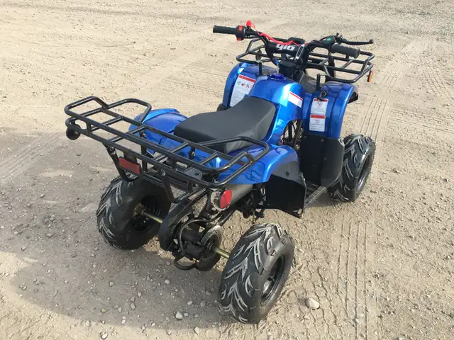 2025 BRAND NEW GIO BLAZER 125 ATV / QUAD / in ATVs in Brandon - Image 10