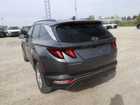 *Certified, Heated Seats, Apple CarPlay, Android Auto, Heated Steering Wheel, Adaptive Cruise Contro... (image 3)