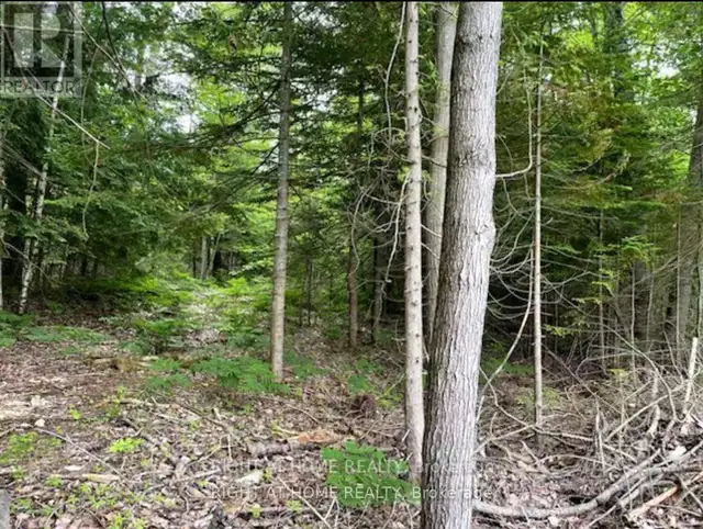 73 LESPERANCE ROAD Tiny, Ontario in Land for Sale in Barrie - Image 5