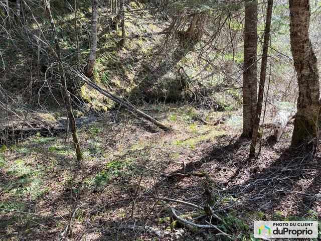 $131,850 - Wood Lot for sale in New Richmond — photo 2
