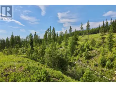 Bring your dreams to this beautiful 20.66 acre Un-Zoned Acreage just a 5 minute walk through Crown l...