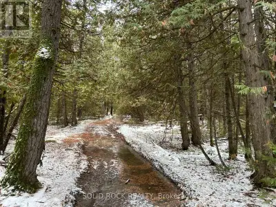 100 Acres of Natural Paradise Trails, a Pond & Endless Possibilities! Looking to simplify your life,...