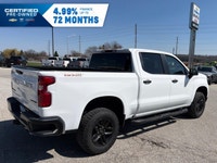 Trail Boss, Low Km's, 5.3L, Dark Essentials Pkg, Black Assist Steps, Tow Pkg W/Trailer Brake Control... (image 5)