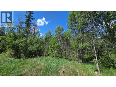 Looking to build that dream home. Maybe an investment opportunity with a little higher density. This...