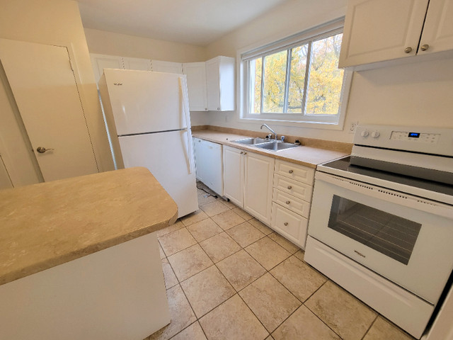 2 Bedroom Apartment Available for Rent in Long Term Rentals in Kingston - Image 3