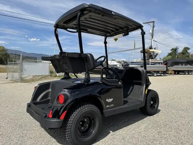 2025 EZGO Valor EX1 -Best Golf Cart,by Textron in ATVs in Vernon - Image 10