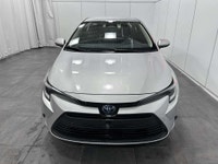 Chez Ste-Foy Toyota nos clients sont au cœur de nos priorités. Avec la diversité de nos produits, no... (image 1)
