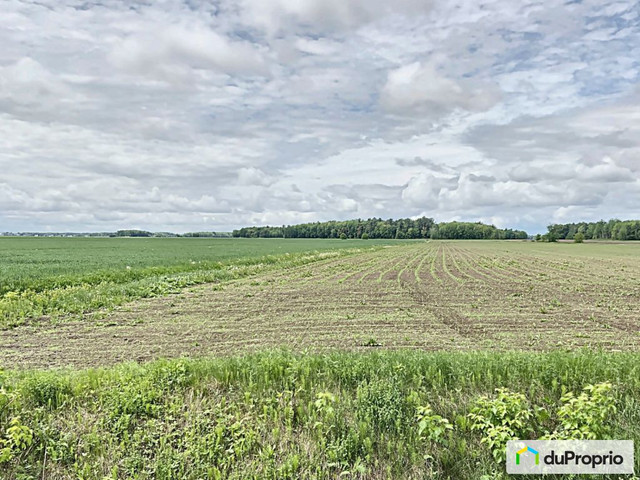 750 000$ - Terre agricole à vendre à St-Gerard-Majella dans Terrains à vendre  à Saint-Hyacinthe - Image 3