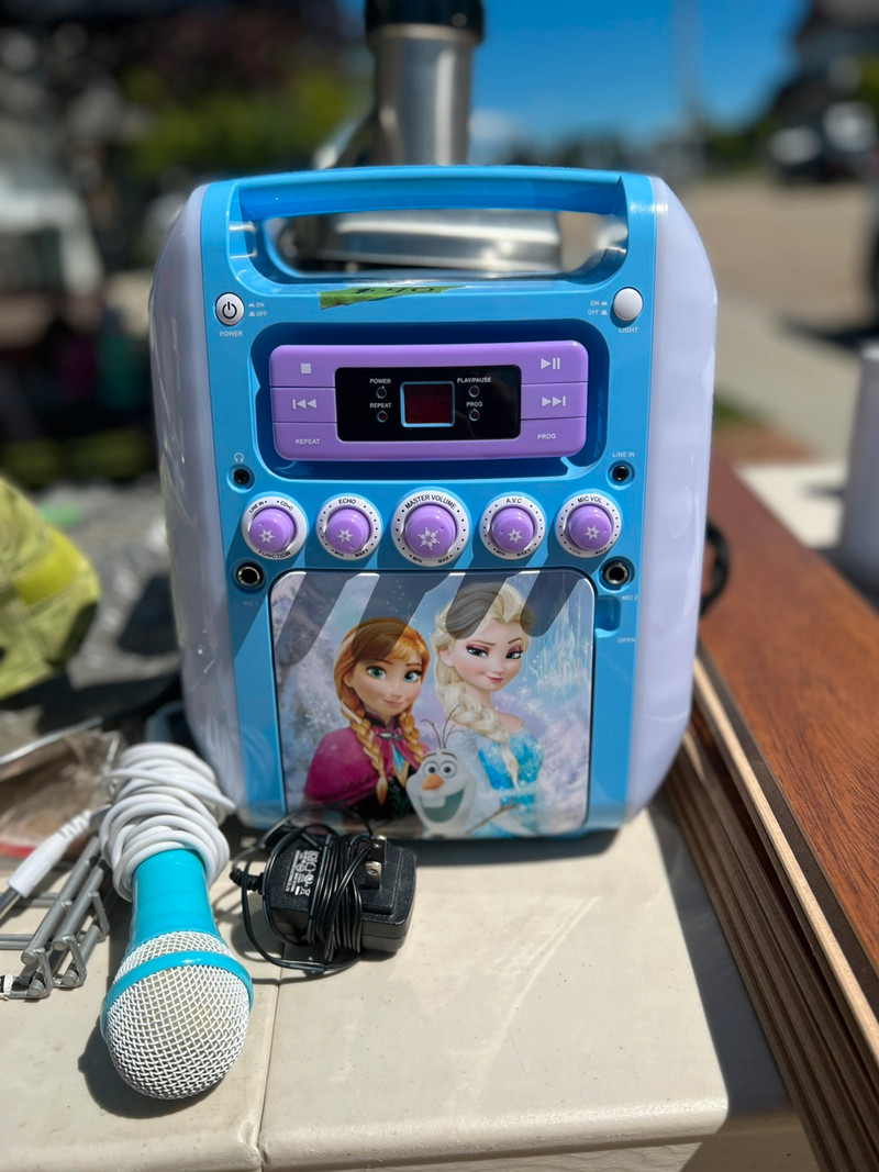 Elsa karaoke for sale  