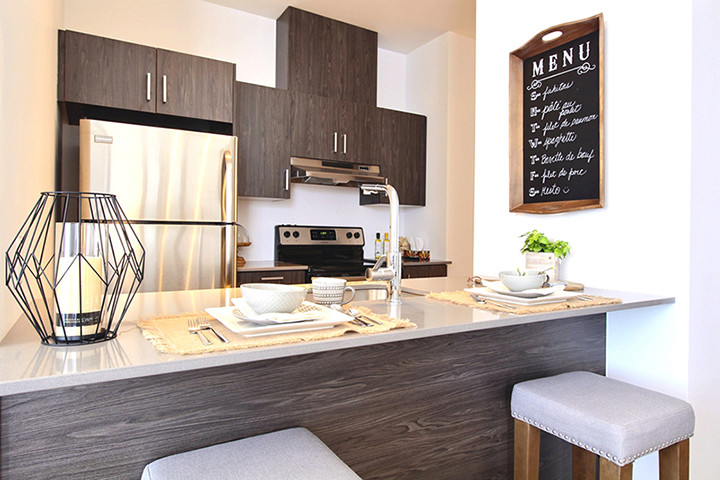 Amazing 2 bedroom Apartment for Rent in Boisbriand dans Locations longue durée  à Laval/Rive Nord