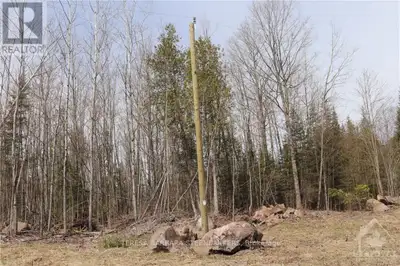 This is a newly severed wooded lot with hydro available. A good size irregular buildable lot with a...
