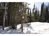 Pr. St Lt 11 ALPINE WAY Smithers, British Columbia Smithers Skeena-Bulkley Area Preview