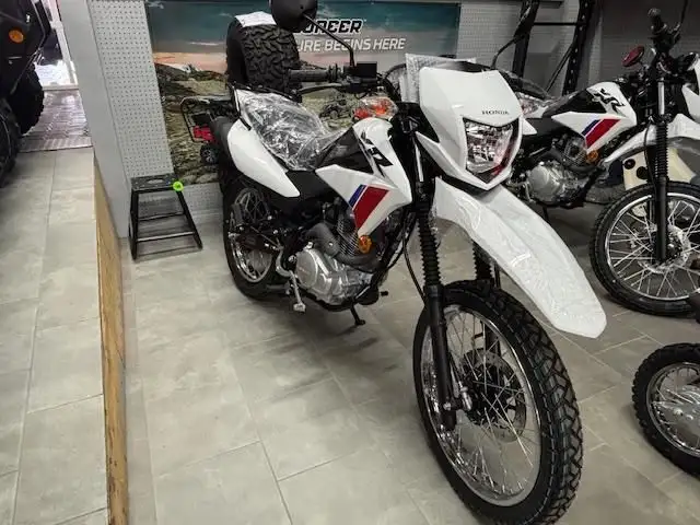 2025 HONDA XR 150 LS Dual Sport White in Street, Cruisers & Choppers in Winnipeg - Image 3