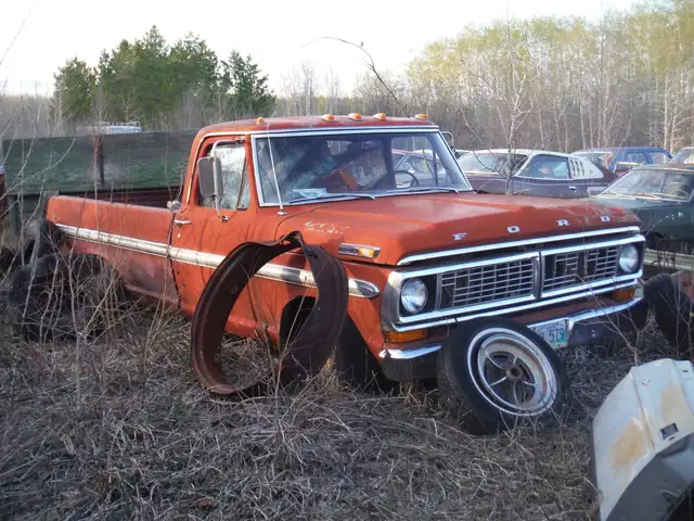 1964-6 Ford 1/2 ton trucks for parts or restoration!!!!! in Auto Body Parts in Edmonton - Image 10