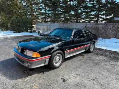 Check out this absolutely beautiful 1988 Mustang GT Hatchback. Still wears its original paint in ver...
