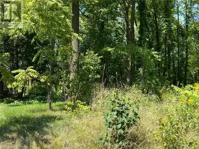LOCATION, LOCATION, LOCATION! Fabulous 2.9 ac treed, ravine lot on the Niagara Escarpment. Build you...