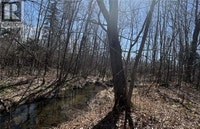 LOT Dr Hamilton Drive Doaktown, New Brunswick Fredericton New Brunswick Preview
