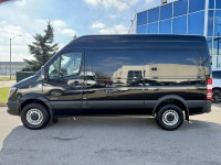 Alexander The Great Inc. 2695 Durante Way. Milton, ON, L9T 5J1 Phone: 416-839-1558 ***RARE BLACK HIG... (image 3)