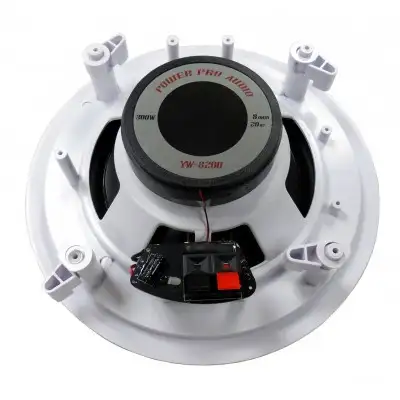 8", 300W, Ceiling Speaker, Subwoofer, Home Audio, Electronics, View more