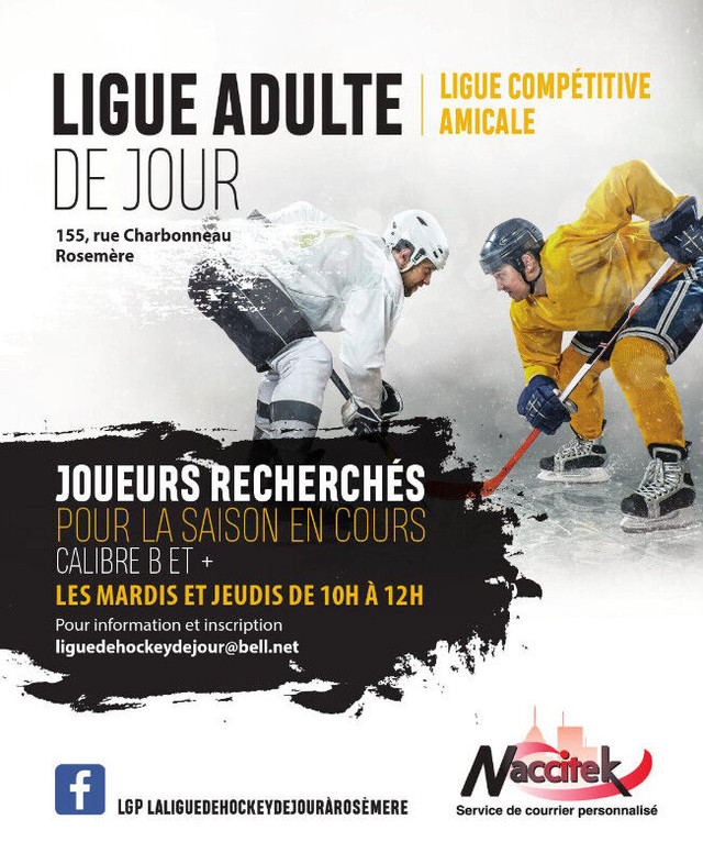 La meilleure ligue de hockey de jour (Saison été 2024) dans Groupes et loisirs  à Laval/Rive Nord - Image 2