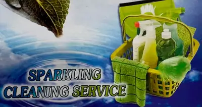 MOVE OUT CLEANING SERVICE!!!, View more
