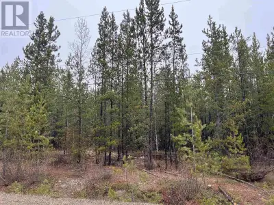 This 10 ac lot near Cluculz Lake presents a rare opportunity to immerse yourself in the beauty of na...