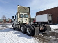2019 Freightliner Cascadia 125 Ryder Stock ID: 866164 Transmission Type/Speed: MANUAL 10 Engine: DIE... (image 7)