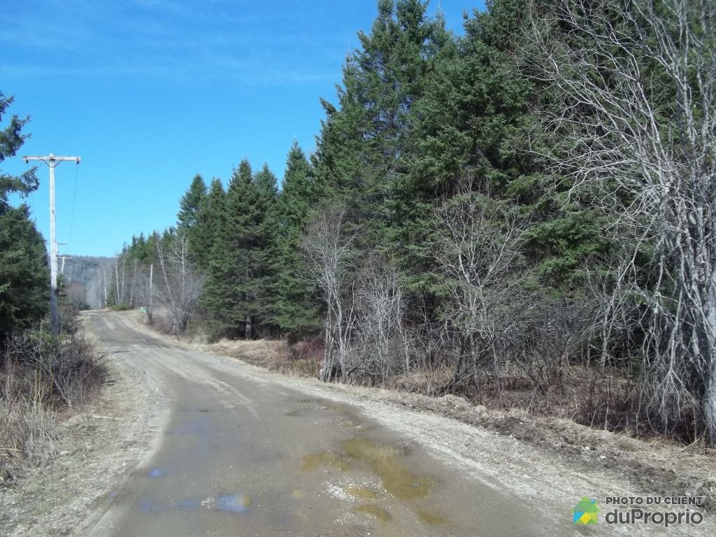 $95,000 - Residential Lot for sale in St-Roch-De-Mekinac — photo 2