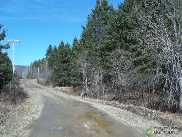 $95,000 - Residential Lot for sale in St-Roch-De-Mekinac — photo 2