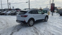 This One Owner 2025 Ford Escape ACTIVE AWD has the 1.5L Ecoboost engine with an 8-Speed Automatic tr... (image 4)