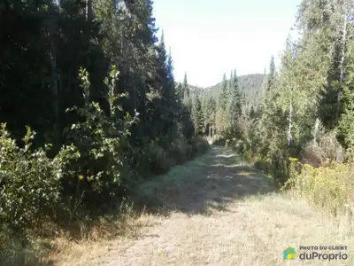 Beau terrain avec accès au Lac de la montagne Noire. un chemain est fait sur le terrain et une parti...