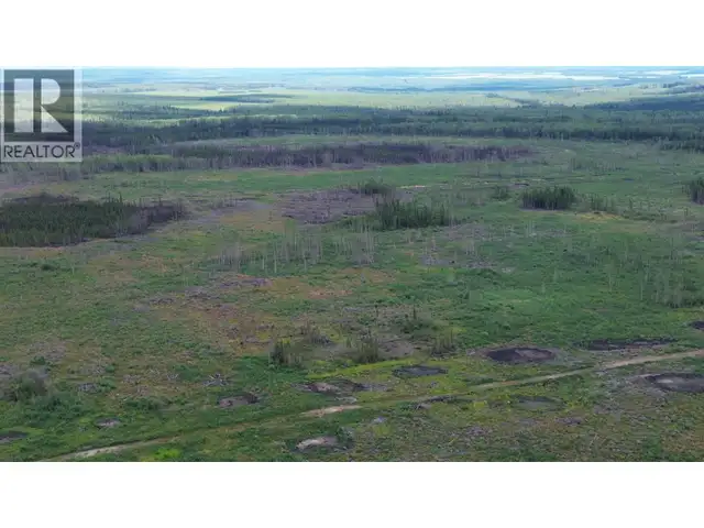 1111 BIRLEY ROAD Buick Creek, British Columbia in Land for Sale in Fort St. John - Image 12