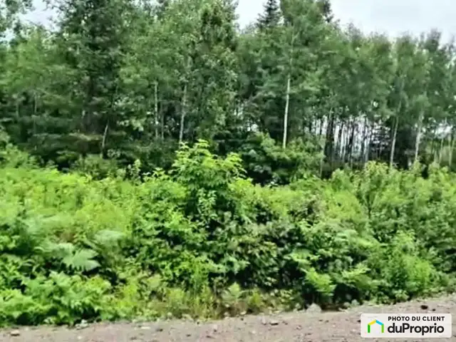 $119,000 - Residential Lot for sale in St-Honore-De-Chicoutimi in Land for Sale in Saguenay - Image 3