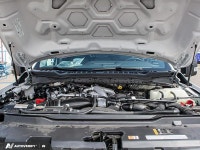 Running Boards, High Capacity Trailer Tow Package, Exterior Back-Up Alarm, Rear View Camera and Prep... (image 8)