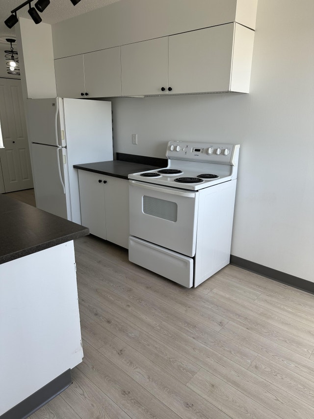 NEWLY RENOVATED 2 BEDROOMS FOR RENT at 1109 AVE W N Long Term Rentals