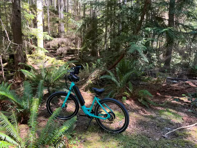 GULF ISLAND BC– OFF-GRID LAND STEWARDSHIP & LIVING OPPORTUNITY in Storage & Parking for Rent in Nanaimo - Image 4
