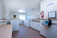 SPACIOUS 2 BEDROOM APARTMENT FOR RENT IN COLLINGWOOD! SELECT APARTMENT FULLY REVITALIZED WITH MODERN... (image 8)