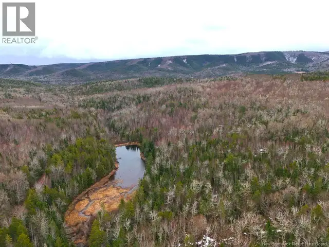 Lot Shaw Road Shenstone, New Brunswick in Land for Sale in Moncton - Image 11