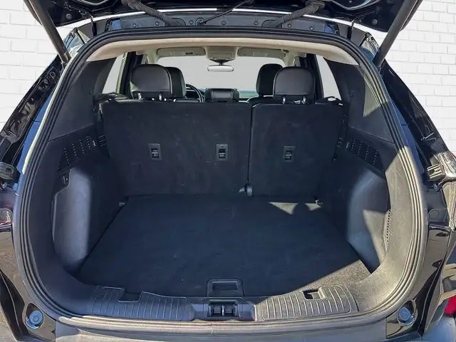 2024 Ford Escape PHEV6041280949053132815