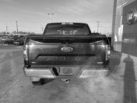 ENGINE: 3.5L V6 ECOBOOST -inc: auto start/stop technology system GVWR: 3 175 kg (7 000 lb) Payload P... (image 4)